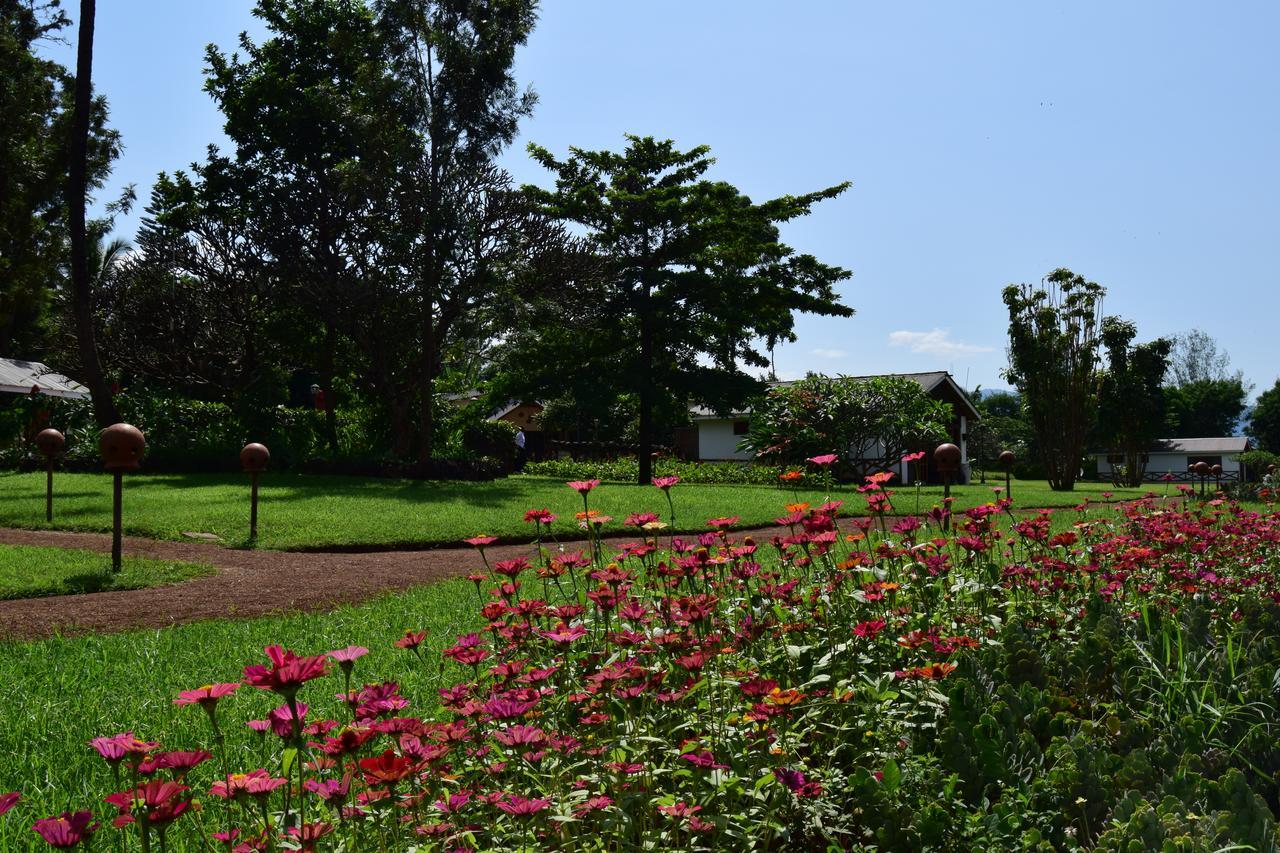 Ameg Lodge Kilimanjaro Moshi Exterior photo