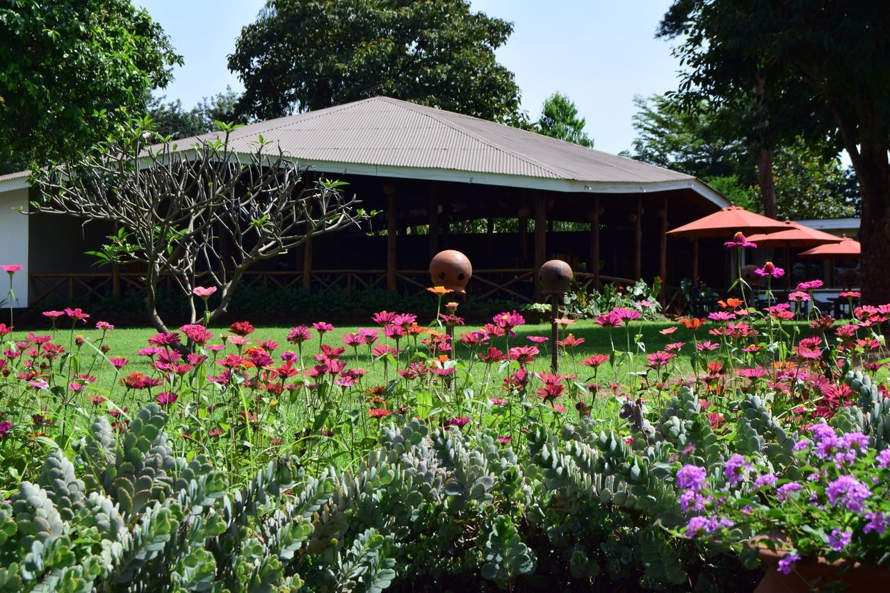 Ameg Lodge Kilimanjaro Moshi Exterior photo